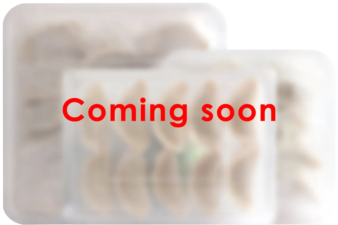 Vegetarian II Dumplings (素饺子2)